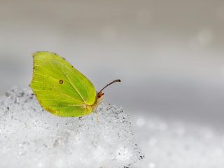 Zdjęcie do artykułu: Jak zmienić swoje życie w 7 dni – plan działania